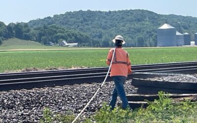 The Importance of Vegetation Management for Industrial Facilities