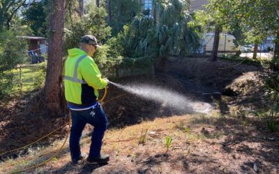 IVM vs. Traditional Landscaping: Which Is Better for Industrial Sites